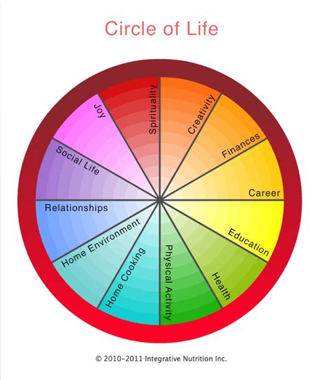 Circle Of Life Explained