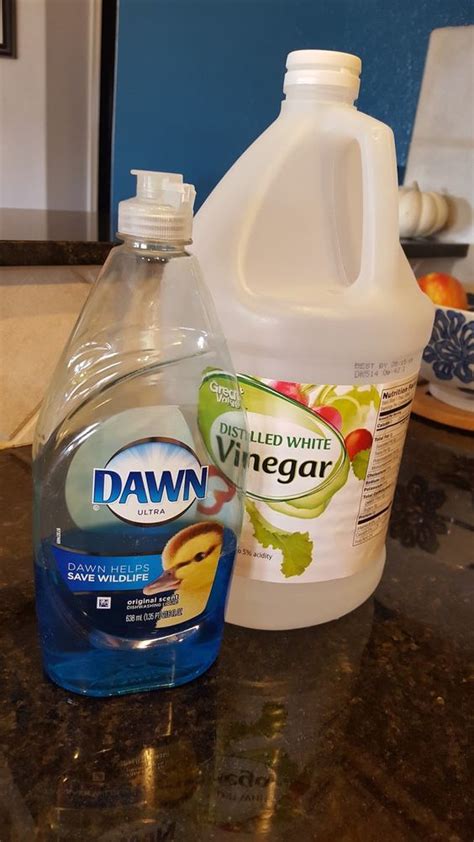 A Bottle Of Vinegar And A Gallon Of Water On A Counter