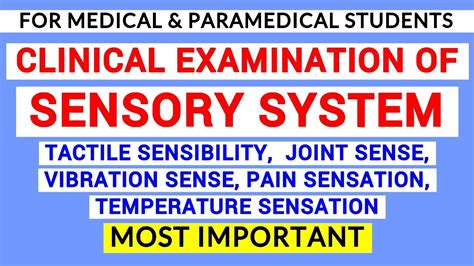 Sensory System Examination Clinical Lab Physiology Youtube