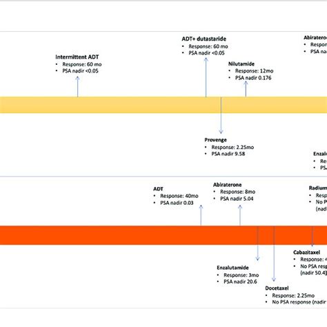 Timeline Of Treatments Received Prior To Pembrolizumab Download
