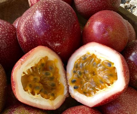 Passion Fruit Florida Farm Fresh ~ Bursting with Tropical Flavor