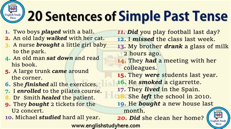 20 Sentences In Simple Past Tense English Study Here