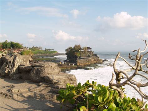 20 Amazing Things To Do In Canggu Bali In 2024 Travel Guide