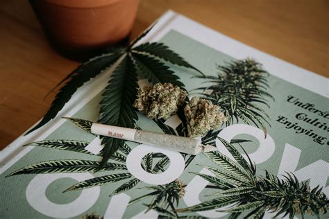 Canna Censored The Challenges Of Cannabis Marketing Muse By Clio