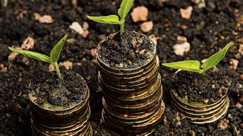 Nova Benefits Raises Usd 1 Million Seed Funding National Business Mirror