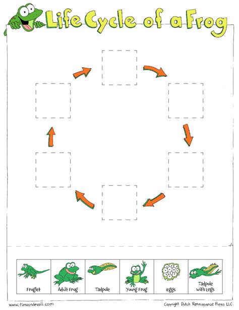 Free Printables Worksheets Parts Of A Frog
