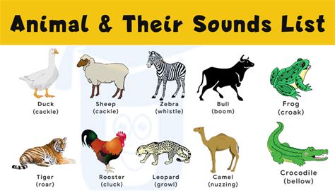 Sounds Of Animal And Birds Ultimate List