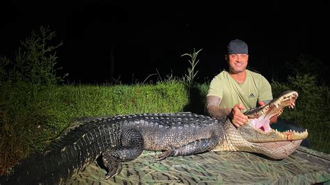 Florida Alligator Hunting Youtube