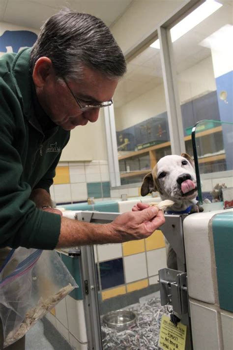Applebee's neighborhood grill select applebee's restaurants will host a. Homeless Houston Dogs Enjoy Thanksgiving Dinner