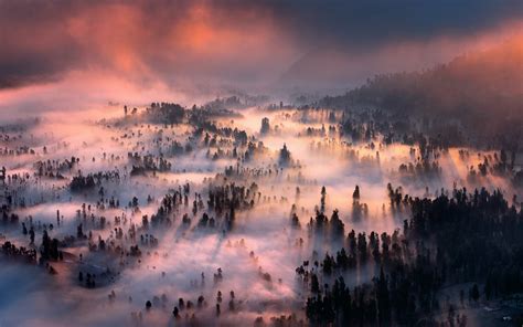 Nature Landscape Sunrise Forest Mist Mountain Clouds Valley