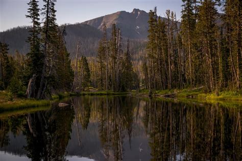 Small Pond On The Way To Yellowstone National Park Wyoming Oc