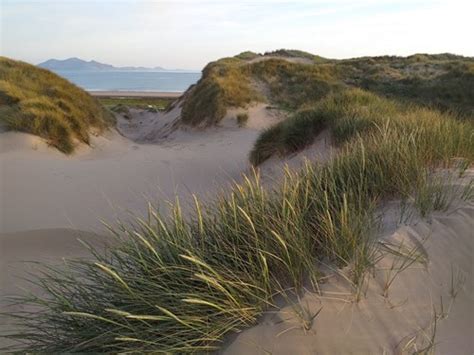 Natural Resources Wales Sand Dunes