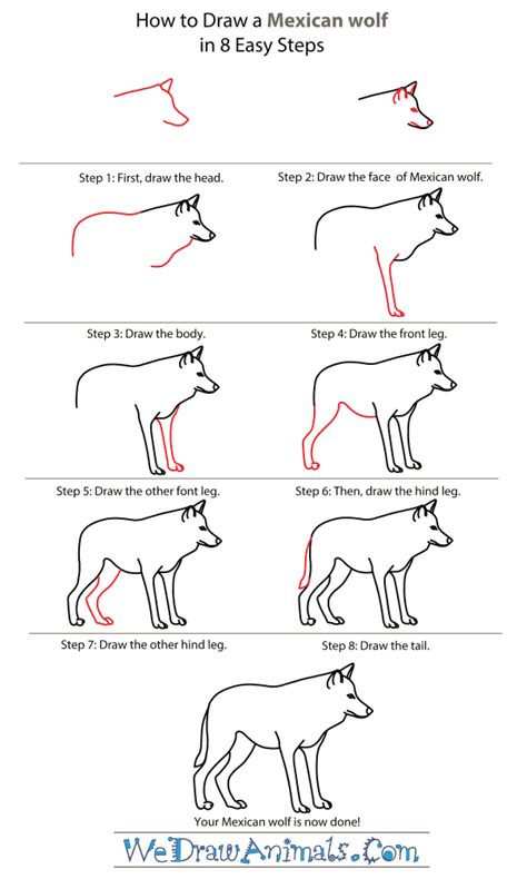 Name a subject your friends seem to love giving free advice on. How to Draw a Mexican Wolf