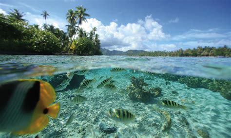 Raiatea Activities Attractions And Things To Do Tahiti Legends