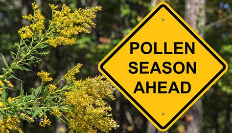 Pollen Allergy Symptoms Cause And Treatments