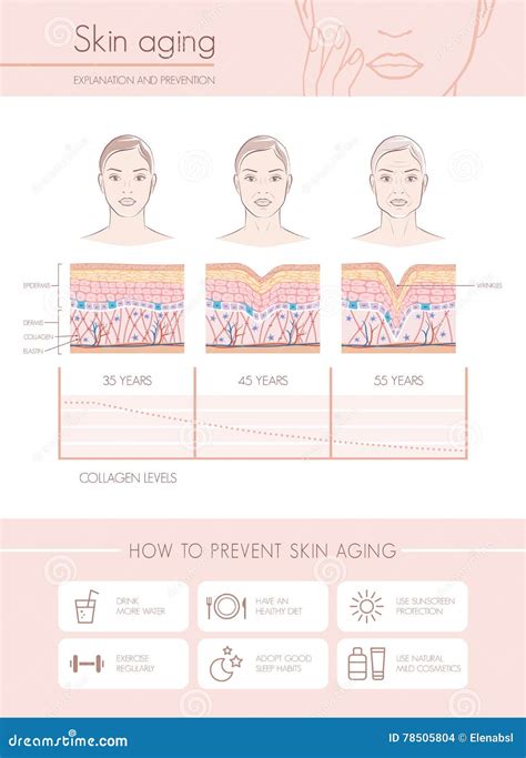 Skin Aging Vector Illustration 35179868
