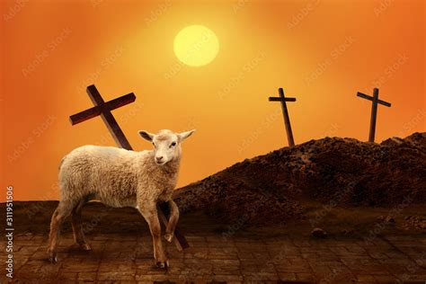 Lamb Of God The Atoning Sacrifice Of Jesus Christ Stock Photo Adobe