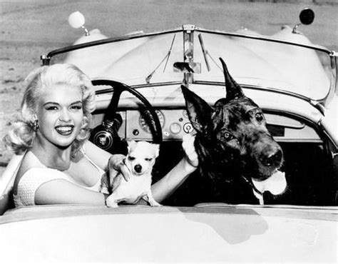 Oddities — Jayne Mansfield And Her Dogs
