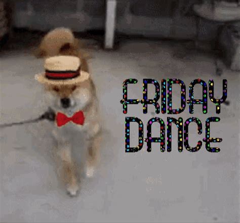 Friday Dance Happy Friday  Fridaydance Friday Happyfriday