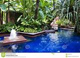 Tropical Landscaping Pool Pictures