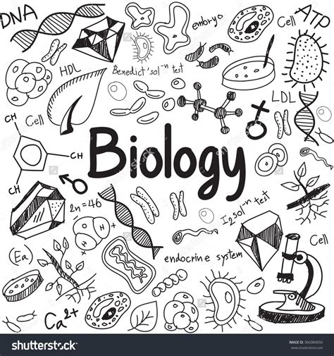 Biology Clipart Calligraphy Biology Calligraphy Transparent Free For