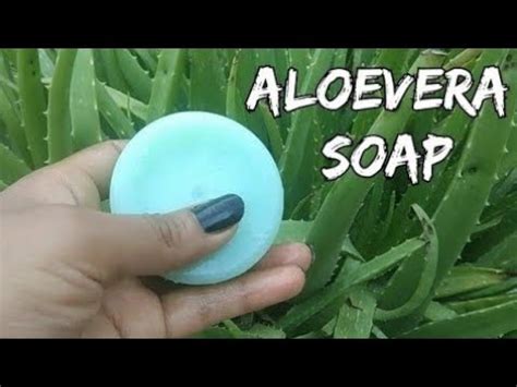 Make Aloe Vera Soap At Home Naturally Homemade Aloe Vera Soap Youtube