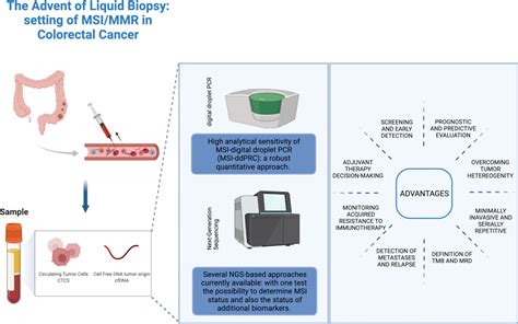 Frontiers Microsatellite Instable Colorectal Adenocarcinoma