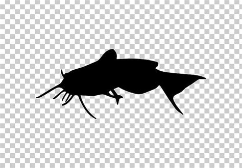 Silhouette Catfish Png Clipart Animals Black Black And White Blue