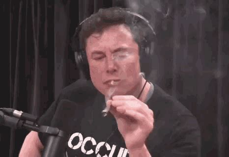 Elon Musk GIF Elon Musk Smoking Discover Share GIFs