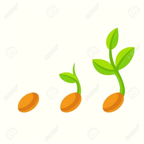 Clip Art Seed 20 Free Cliparts Download Images On Clipground 2024