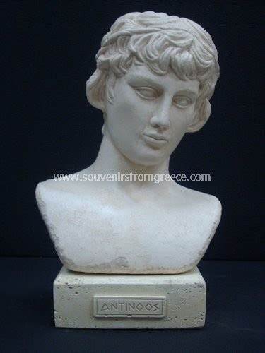 Antinoos Greek Plaster Bust Statue Greek Busts Sculptures Greek