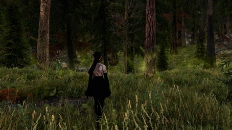 Forest At Skyrim Special Edition Nexus Mods And Community