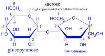 Solved From Sugars Chemical Structure Identify The A