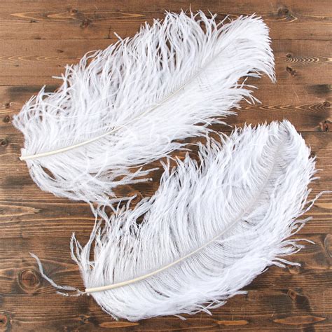 Natural White Ostrich Feathers - Feathers - Basic Craft ...