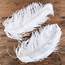 Natural White Ostrich Feathers  Basic Craft Supplies