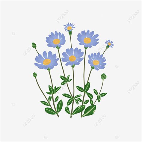 Blue Daisy Png Picture Daisy Blue Flower Flower Daisy Flower Blue