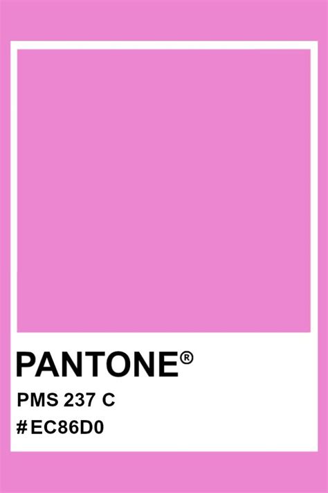 Pantone 237 C Pantone Color Pms Hex Pantone Cool Summer Palette