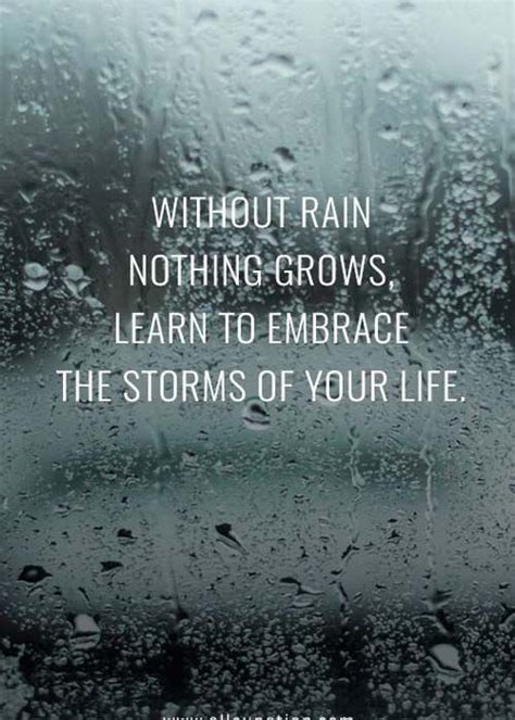 The Storm Of Life Life Quotes Pinterest Storms Rain