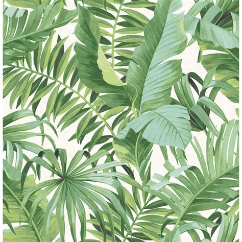 2969 24136 Alfresco Green Tropical Palm Wallpaper By A