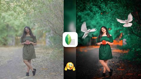 Snapseed Green And Bird Effect Photo Editing Tutorial Snapseed
