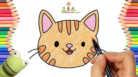 Adım Adım Sevimli Kedi Yüzü Çizimi Kolay Çizimler