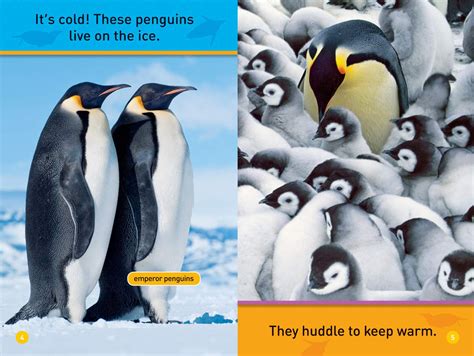 Buy National Geographic Pre Reader Hello Penguin Online With Canadian