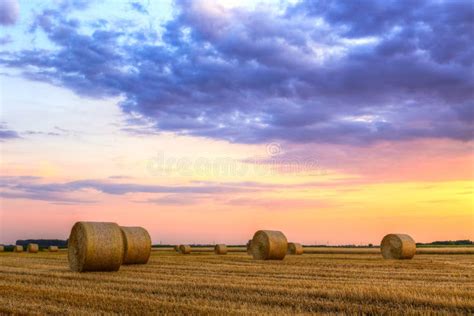 Sunset Over Farm Field With Hay Bales Stock Image Image Of Landscape