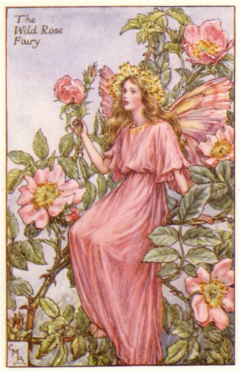 An Image Of A Fairy With Flowers In The Background