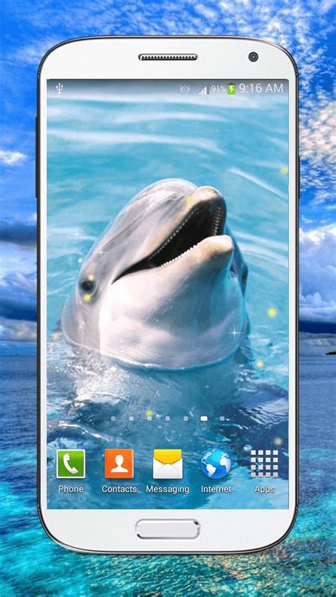 Dolphin Live Wallpaper Hd Apk For Android Download