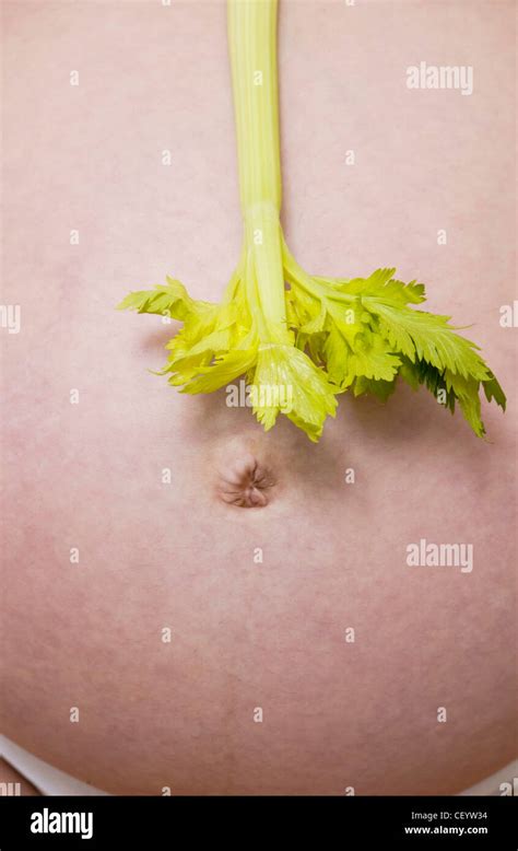 Anonymous Cropped Shot Of A Heavily Pregnant Female Holding A Celery Stalk In Front Of Her Belly