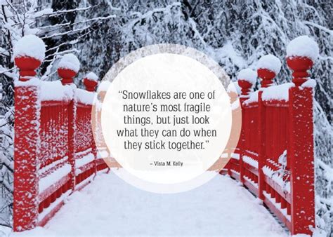 Great Quotes About Snow 25 Pics