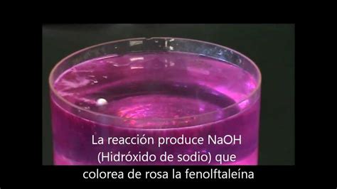 Reaccion Del Sodio Con El Agua Open Ai Lab