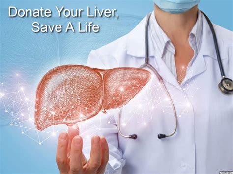What Exactly Is A Liver Transplant Guidelines For Liver Donation