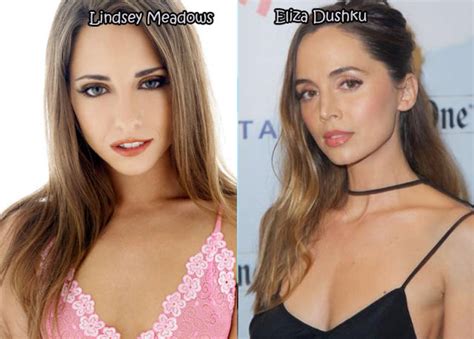 Female Celebrities And Their Pornstar Lookalikes 20 Pics